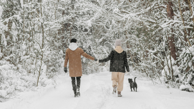 Ziemas attālinātais soļošanas izaicinājums