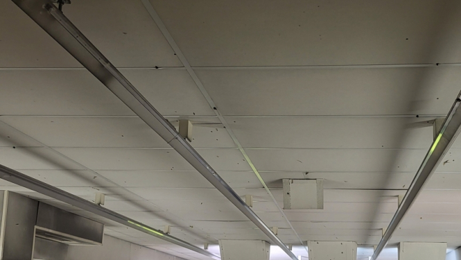 Šaušanas sacensību dalībnieki šauj mērķi