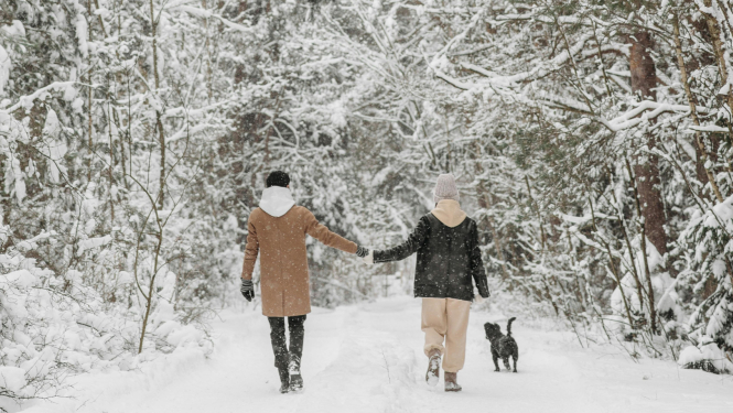 Ziemas attālinātais soļošanas izaicinājums