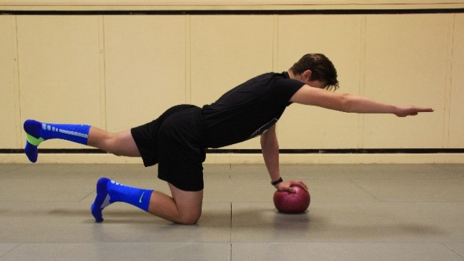 vingrinājumi mugurai