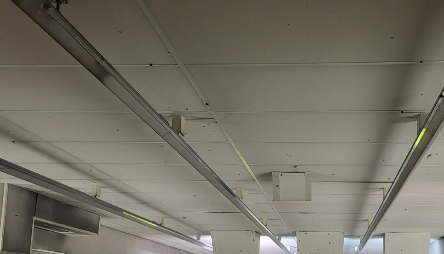 Šaušanas sacensību dalībnieki šauj mērķi