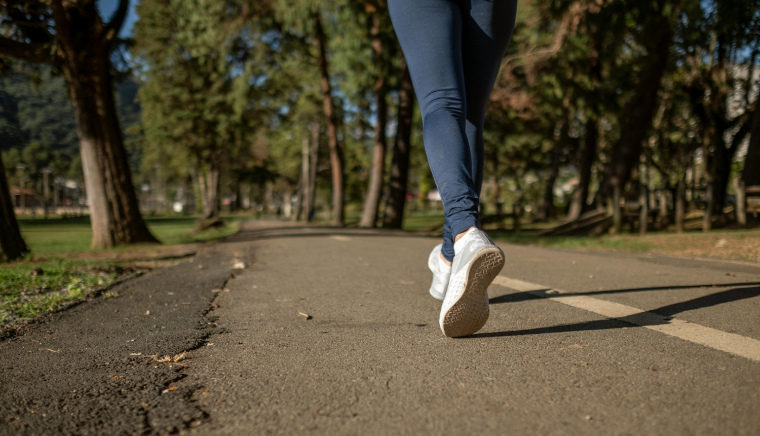 Aktīvs dzīvesveids