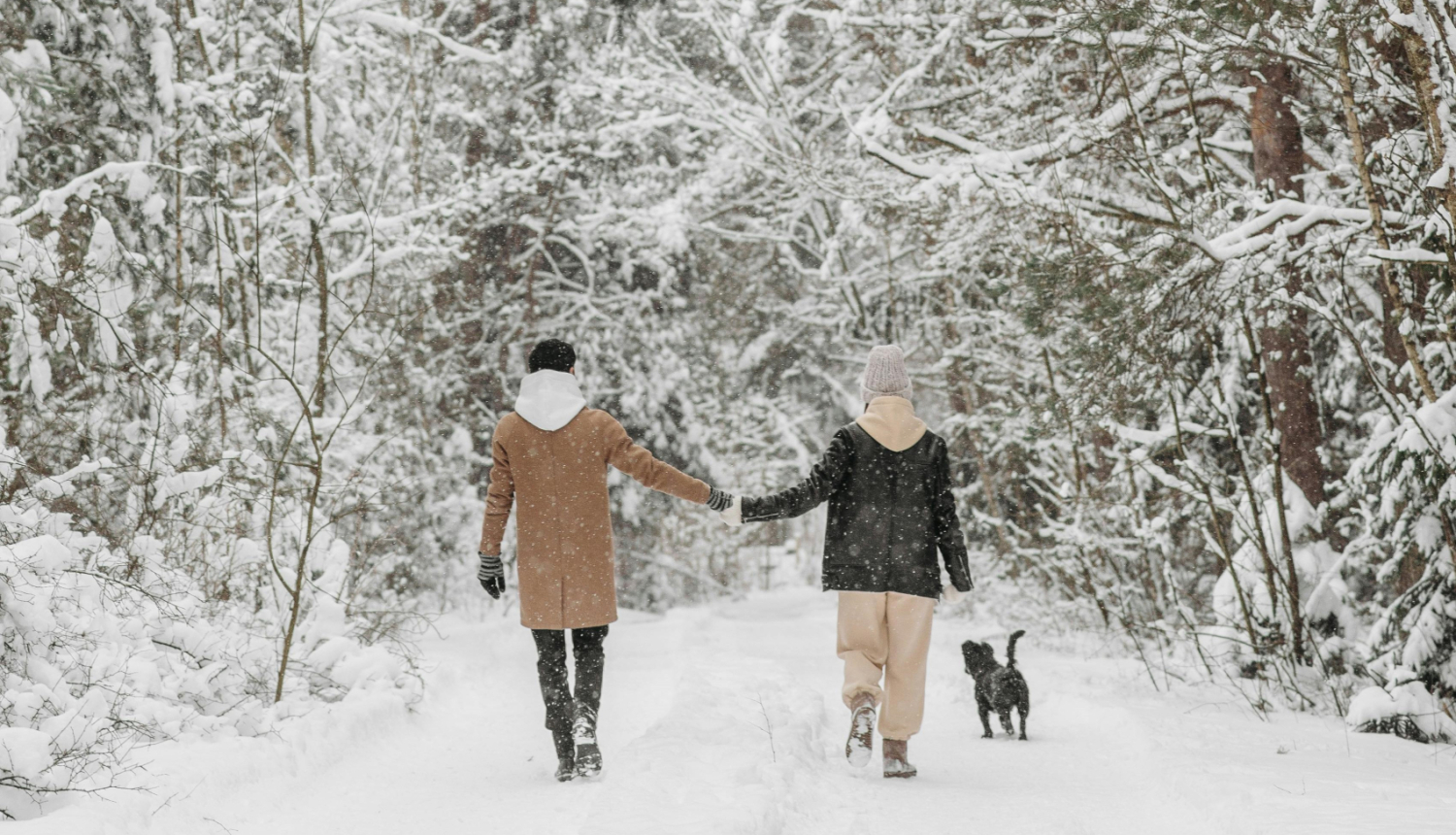 Ziemas attālinātais soļošanas izaicinājums