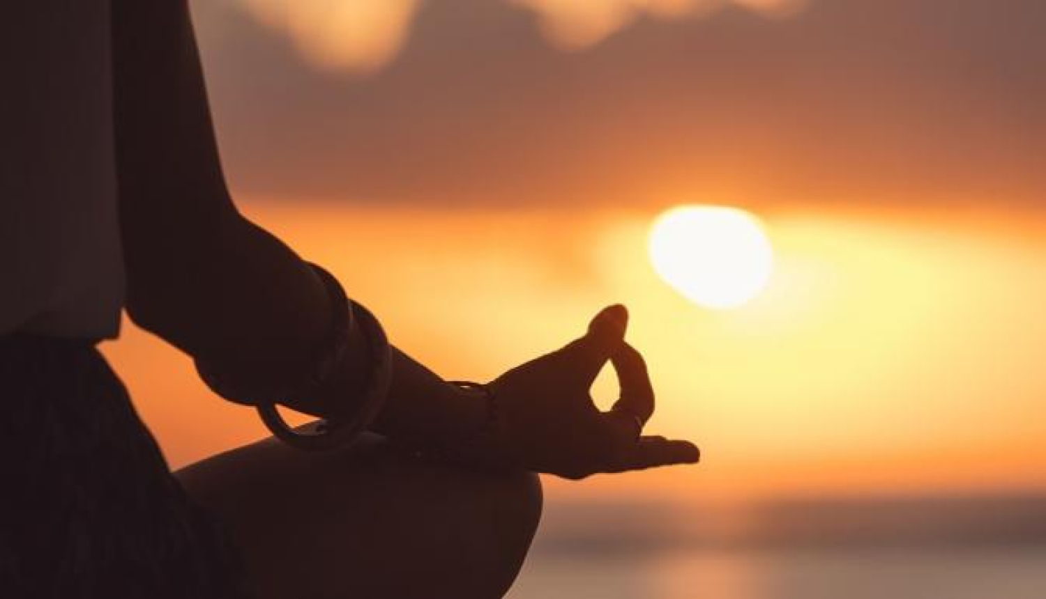 : https://www.downtoearth.org.in